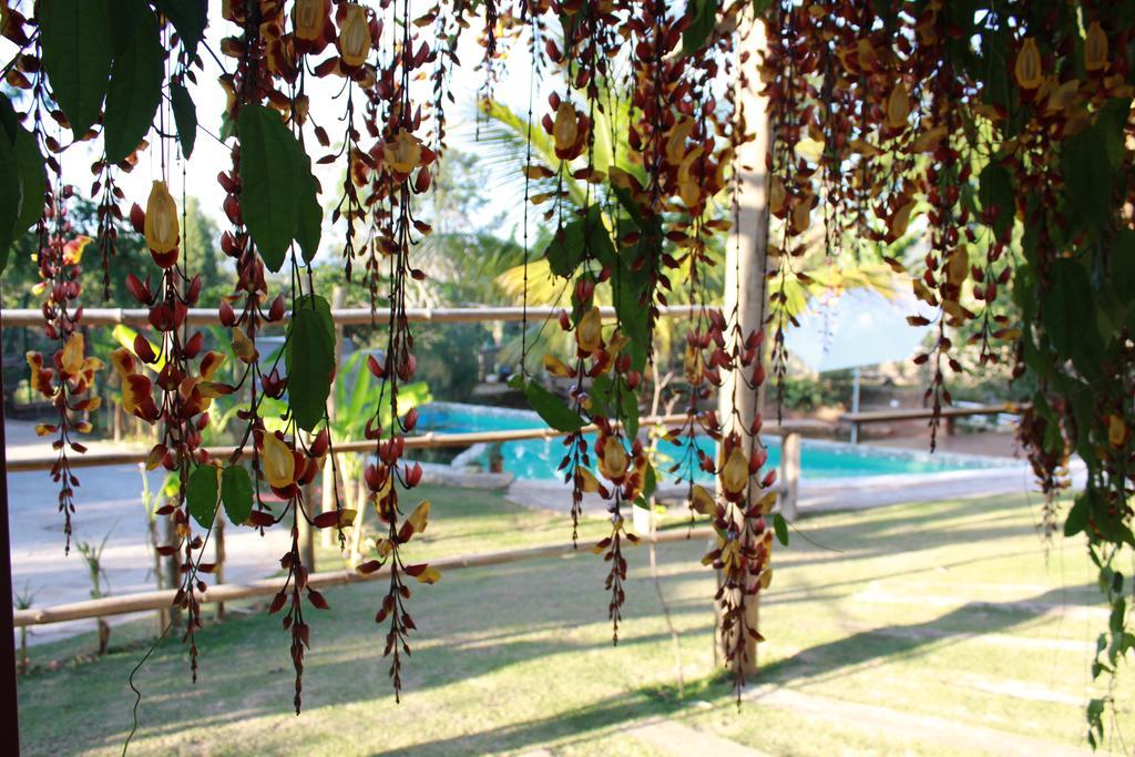 Pousada Recanto Da Estacao São João da Boa Vista Esterno foto